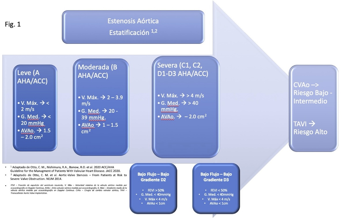 Figura 1 Figura 1