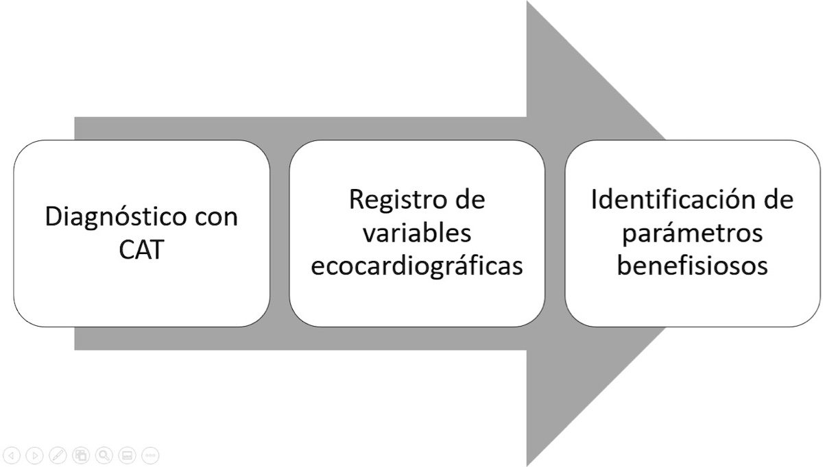 Figura 2. Esquema representativo de los pasos propuestos por Afonso et al. (2019) para identificar los parámetros más útiles en el diagnóstico de EPM o EMB.