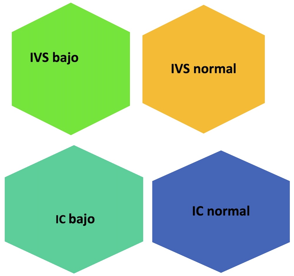 Figura 3. Subgrupos hemodinámicos. Figura 3. Subgrupos hemodinámicos.