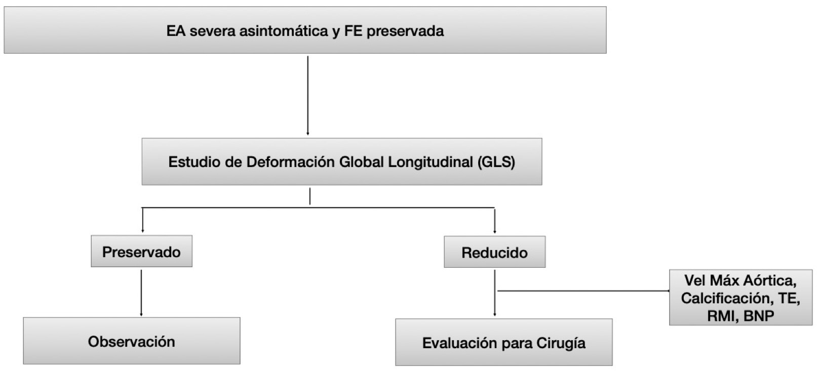 Figura 3. Propuesta de Evaluación para pacientes con EA asintomática y FE preservada.