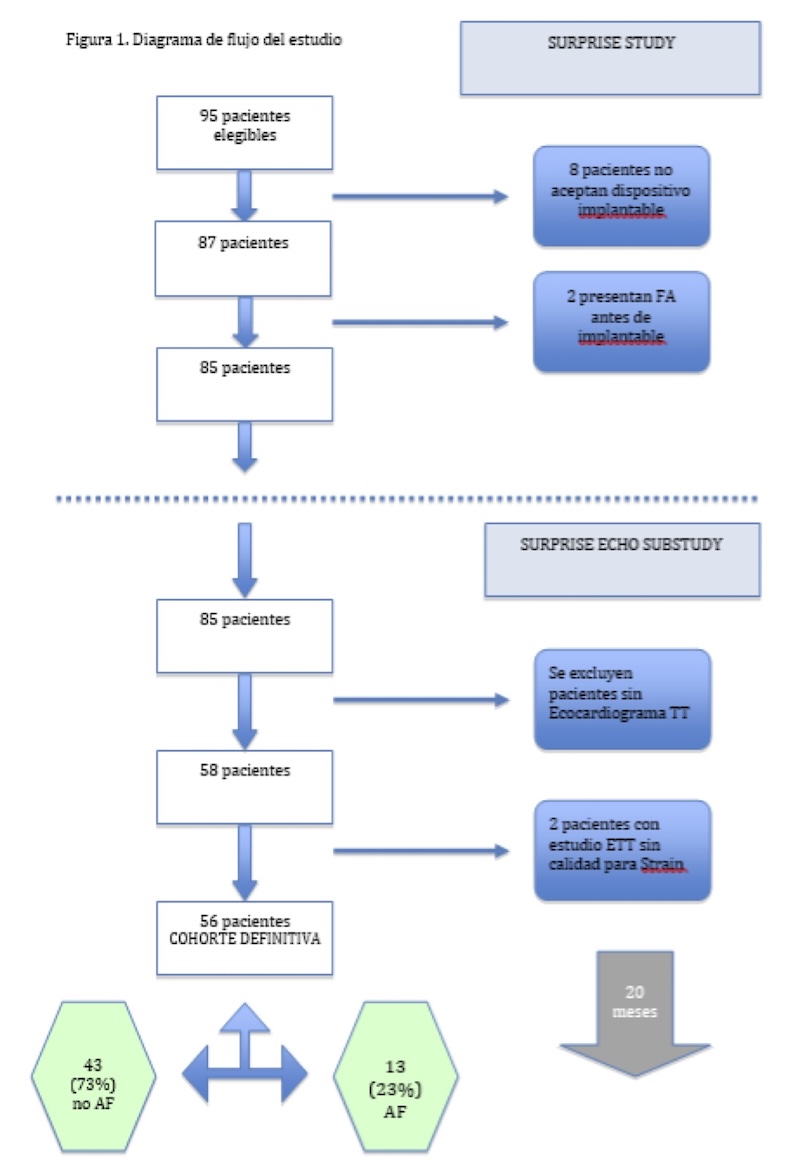 Figura 1. Diagrama de flujo del estudio.