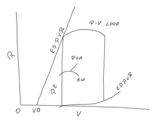 Figura 5. Relación presión-volumen del VI. El área del bucle presión-volumen (PVA) representa el trabajo miocárdico externo (EW), el área triangular a la izquierda representa la energía potencial (PE). Presión (P), volumen (V), volumen del VI sin estrés (V0).