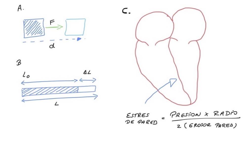 Figura 6. *Principios del Trabajo miocárdico: A) En términos físicos “d” multiplicado por “F” representa el trabajo. *El corazón, es un ente biológico tridimensional, la distancia está representada por el strain, y la fuerza por el estrés de la pared. B) Strain puede ser definido como ΔL, dividido por Lo, expresado en porcentaje. C) El estrés de la pared es representado por la ley de Laplace. Multiplicando el stress miocárdico y el strain de la pared da un valor para el trabajo miocárdico. d=distancia; F=fuerza; ΔL=cambio en la longitud de un objeto; Lo=longitud original. (11)