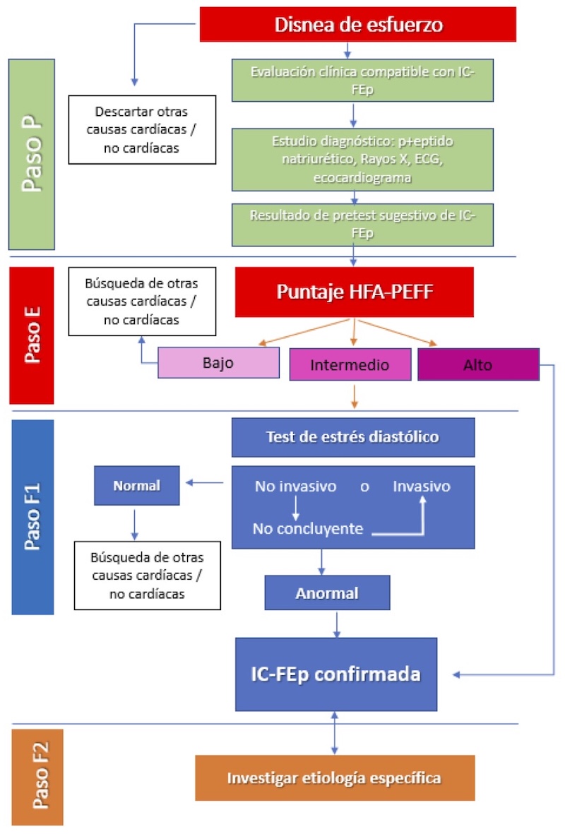 Figura 2. HFA – PEFF: Algoritmo diagnóstico de IC-FEp.