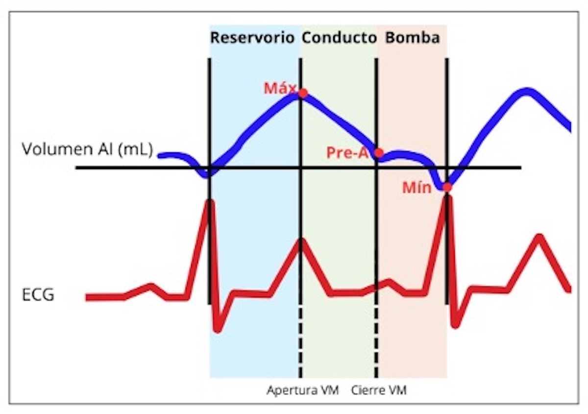 Figura 2. Funciones de la aurícula izquierda.