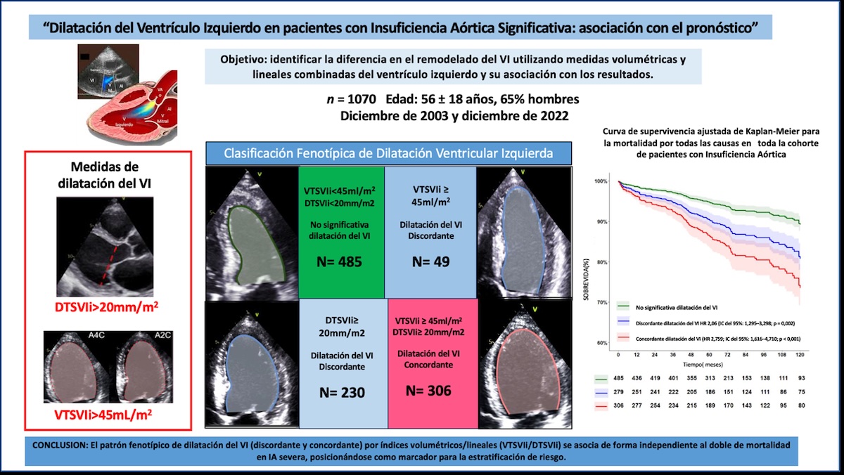 Figura central del estudio. Realizada de manera original basada en el articulo López Santi P, Clavel M-A, Pibarot P, et al. Left ventricular dilatation in patients with significant aortic regurgitation: association with outcome. Eur Heart J — Cardiovasc Imaging. 2025;26:1466–1474. Doi:10.1093/ehjci/jeaf165. Figura central del estudio. Realizada de manera original basada en el articulo López Santi P, Clavel M-A, Pibarot P, et al. Left ventricular dilatation in patients with significant aortic regurgitation: association with outcome. Eur Heart J — Cardiovasc Imaging. 2025;26:1466–1474. Doi:10.1093/ehjci/jeaf165.