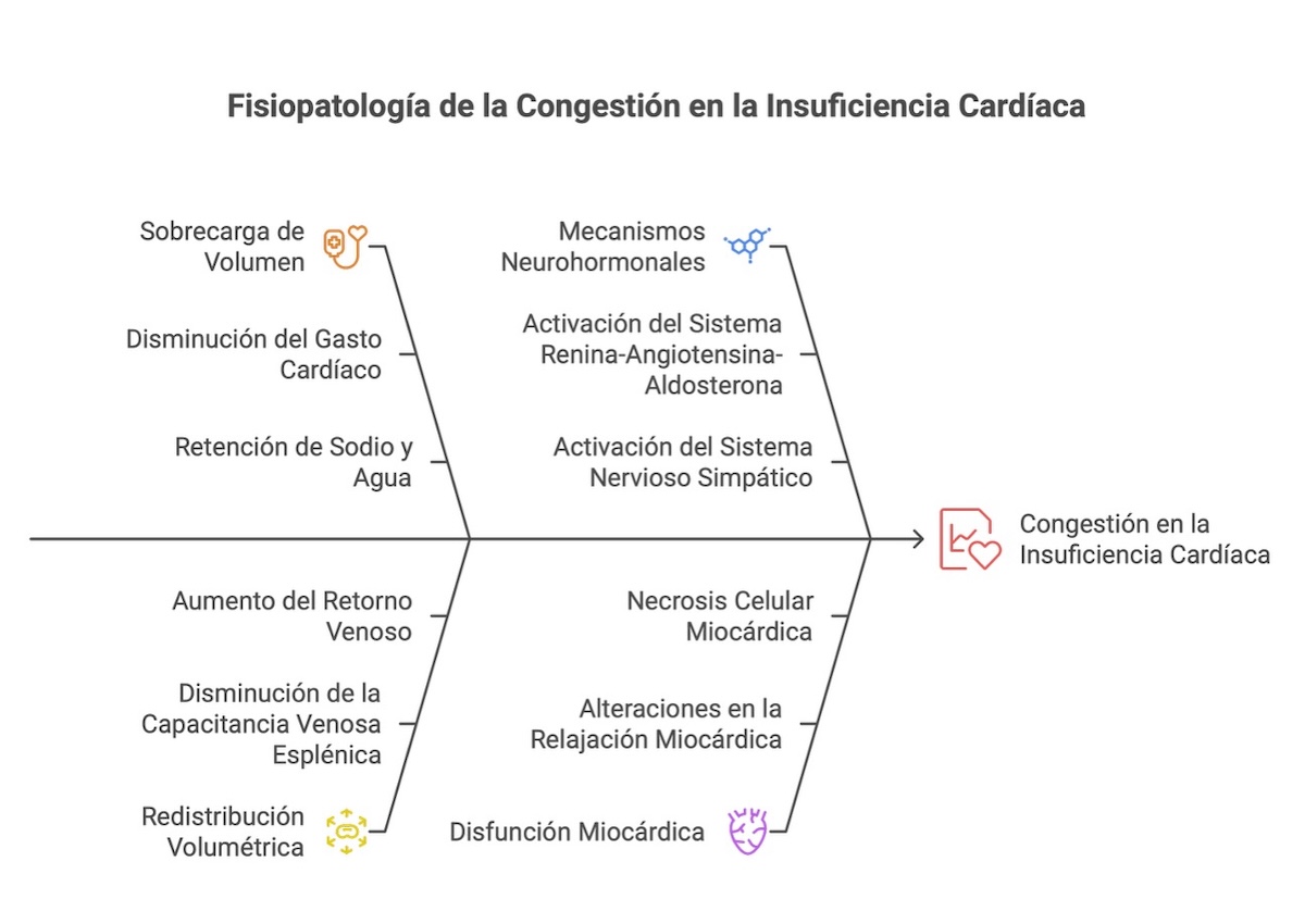 Figura 3. Fisiopatología de la congestión en la insuficiencia cardíaca.