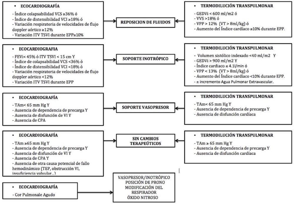 Figura 1. Estrategias terapéuticas protocolizadas según los hallazgos de los investigadores Figura 1. Estrategias terapéuticas protocolizadas según los hallazgos de los investigadores