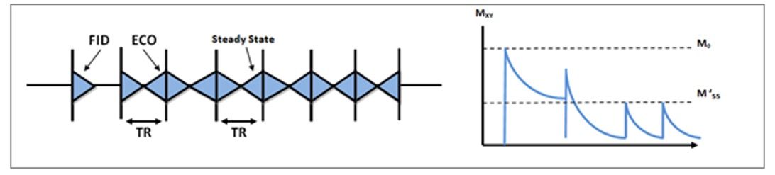 Figura 10