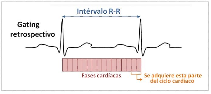 Figura 13