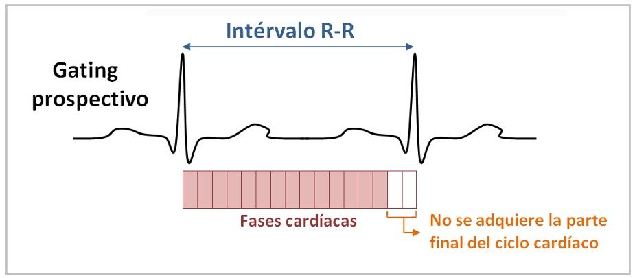 Figura 15