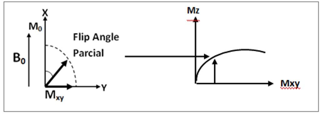 Figura 6