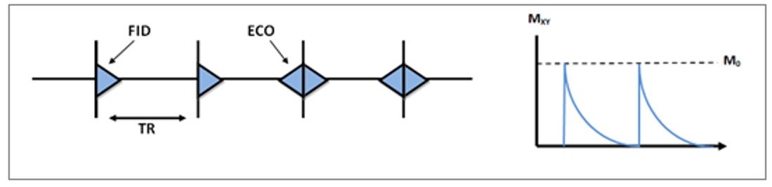 Figura 9