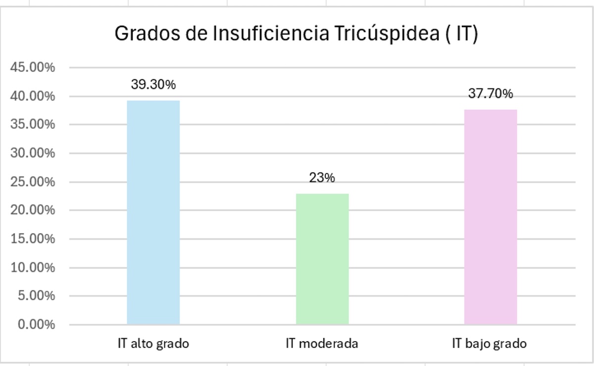 Figura 1. Grados de Insuficiencia tricúspidea (IT) antes de la M-TEER. Figura 1. Grados de Insuficiencia tricúspidea (IT) antes de la M-TEER.