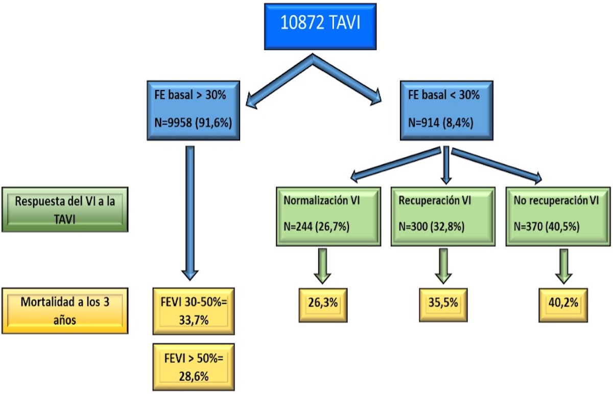 Figura 1. Resumen de la respuesta a la TAVI en pacientes con FEVI < 30% y mortalidad a los 3 años en todos los pacientes incluyendo la cohorte completa. 