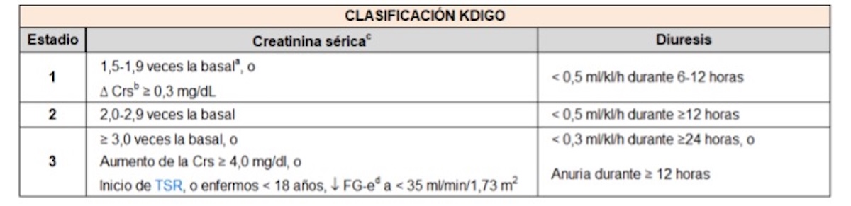 Figura 1: Clasificación de la insuficiencia renal aguda