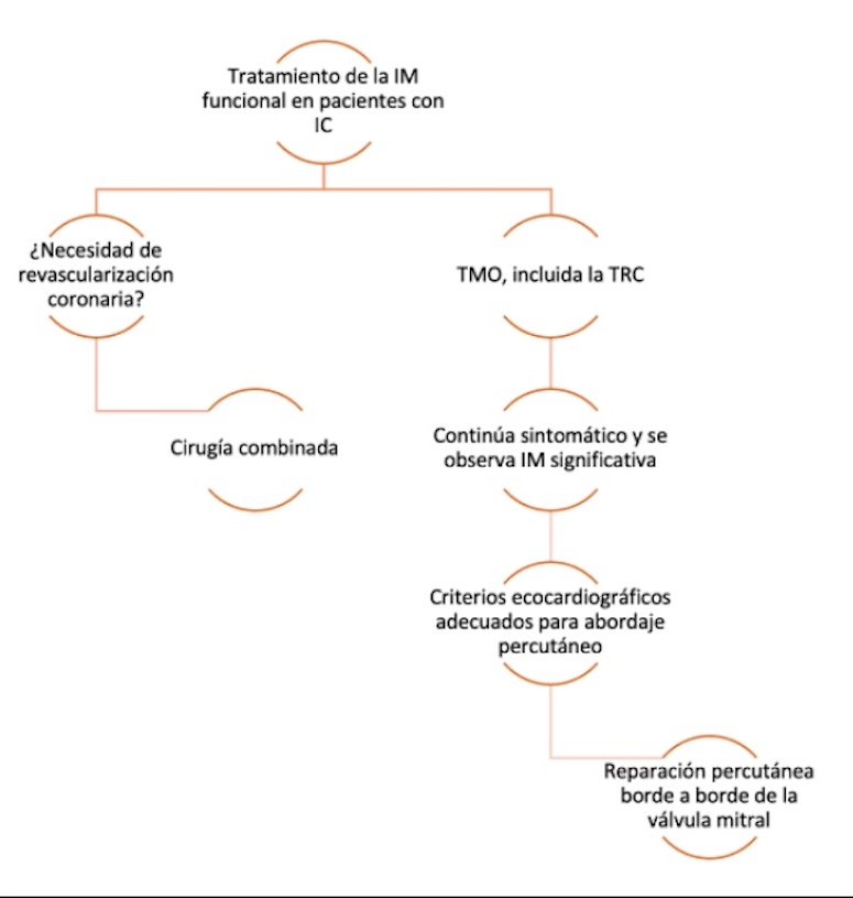 Figura 1. Tratamiento simplificado de insuficiencia mitral secundaria en pacientes con insuficiencia cardiaca y fracción de eyección reducida. IC: insuficiencia cardiaca, IM: insuficiencia mitral, TMO: terapia médica óptima, TRC: terapia de resincronización cardiaca.