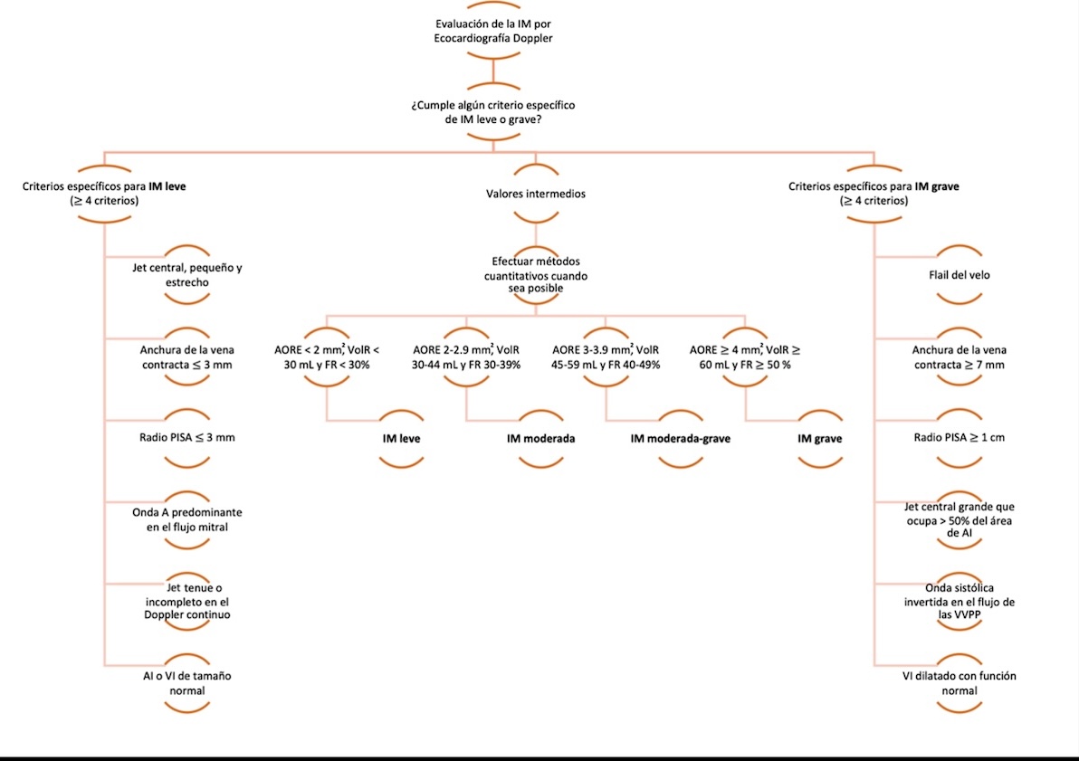 Figura 2: Algoritmo integrado multiparamétrico para la evaluación de la severidad de la insuficiencia mitral. AI: aurícula izquierda, AORE: Área del orificio regurgitante efectivo, FR: Fracción regurgitante, IM: insuficiencia mitral, VI: ventrículo izquierdo, , VolR: volumen regurgitante, , VVPP: venas pulmonares