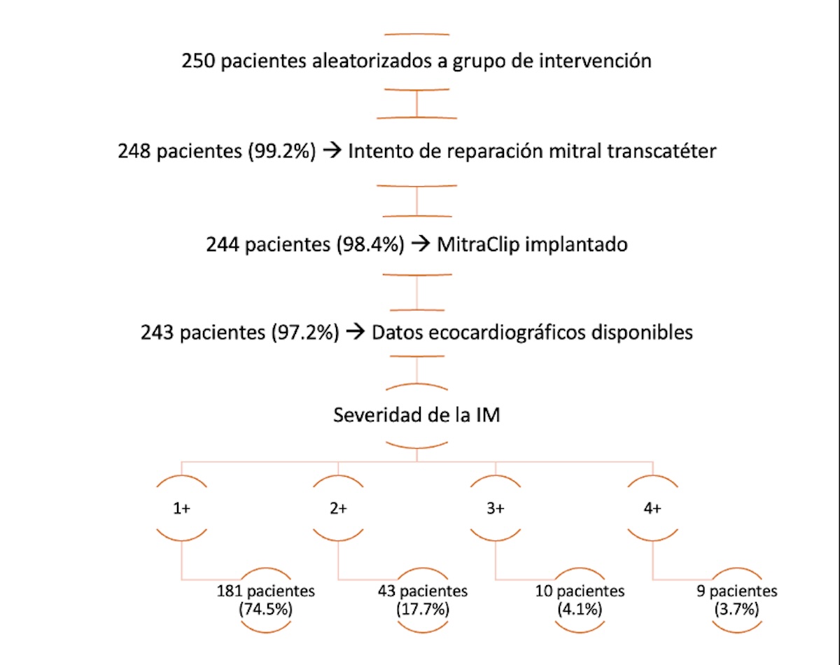 Figura 4. Diagrama de flujo de los pacientes aleatorizados a grupo de intervención. IM: insuficiencia mitral. Figura 4. Diagrama de flujo de los pacientes aleatorizados a grupo de intervención. IM: insuficiencia mitral.