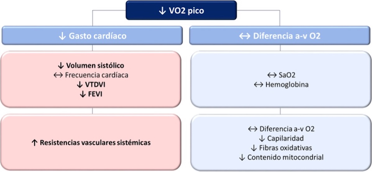 Figura 11. Determinantes fisiológicos del consumo de oxígeno, figura adaptada del trabajo de Foulkes, et al (23). Diferencia a-v O<sub>2</sub>: diferencia arterio-venosa de oxígeno. FEVI: fracción de eyección del ventrículo izquierdo. SaO<sub>2</sub>: saturación arterial de oxígeno. VTDVI: volumen telediastólico del ventrículo izquierdo. 