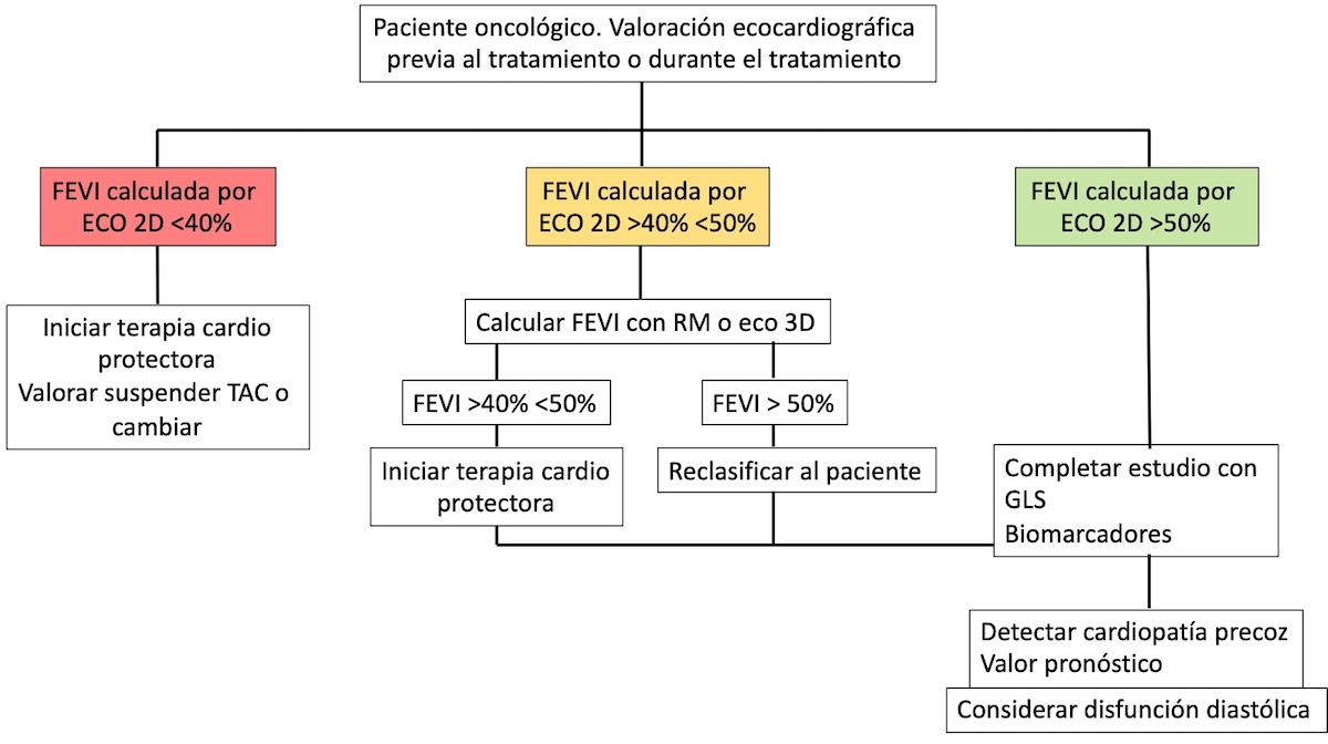 Figura 2. Esquema de actuación propuesto para el seguimiento del paciente oncológico al inicio de la terapia anticancerosa o durante la misma