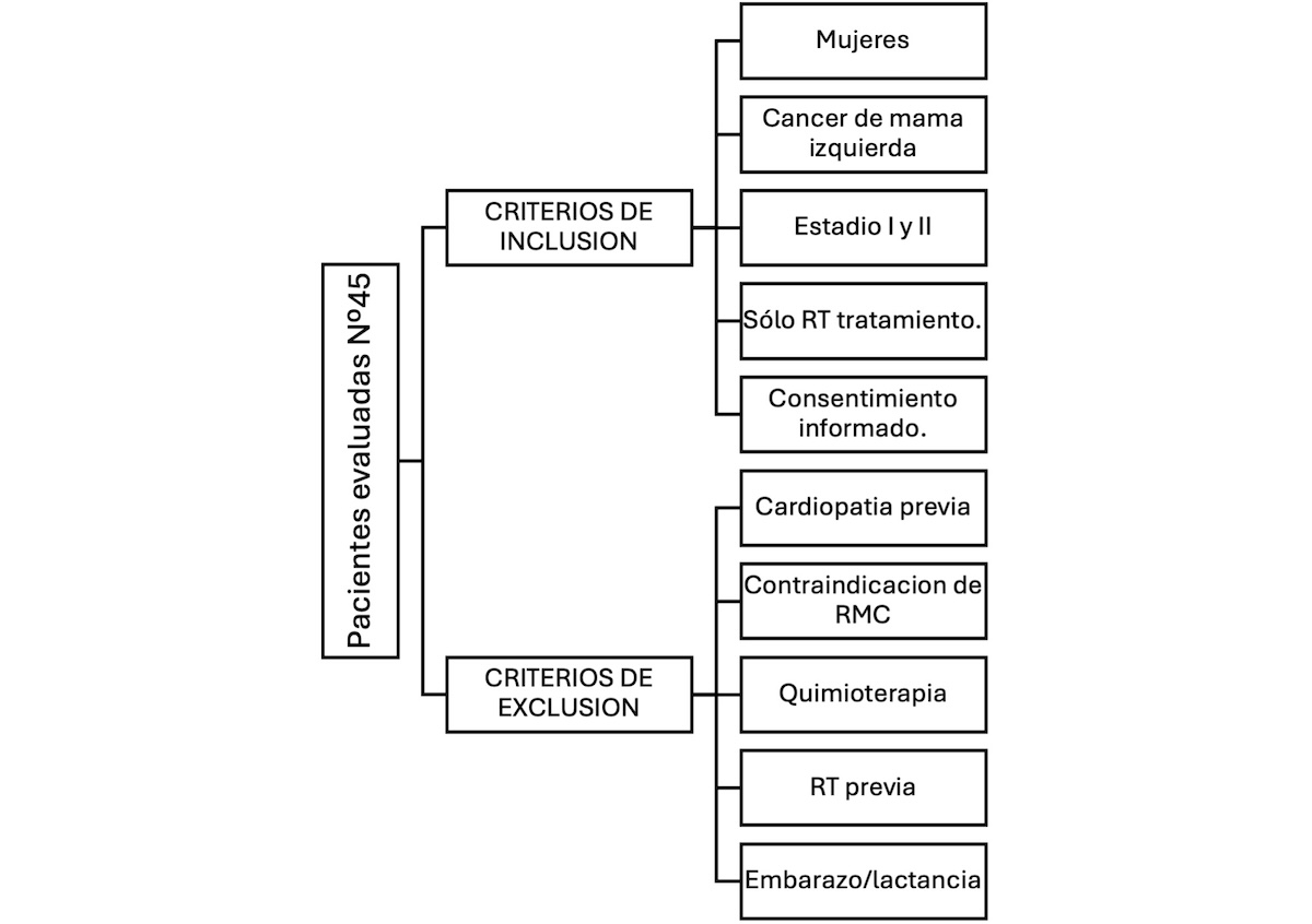 Figura 1