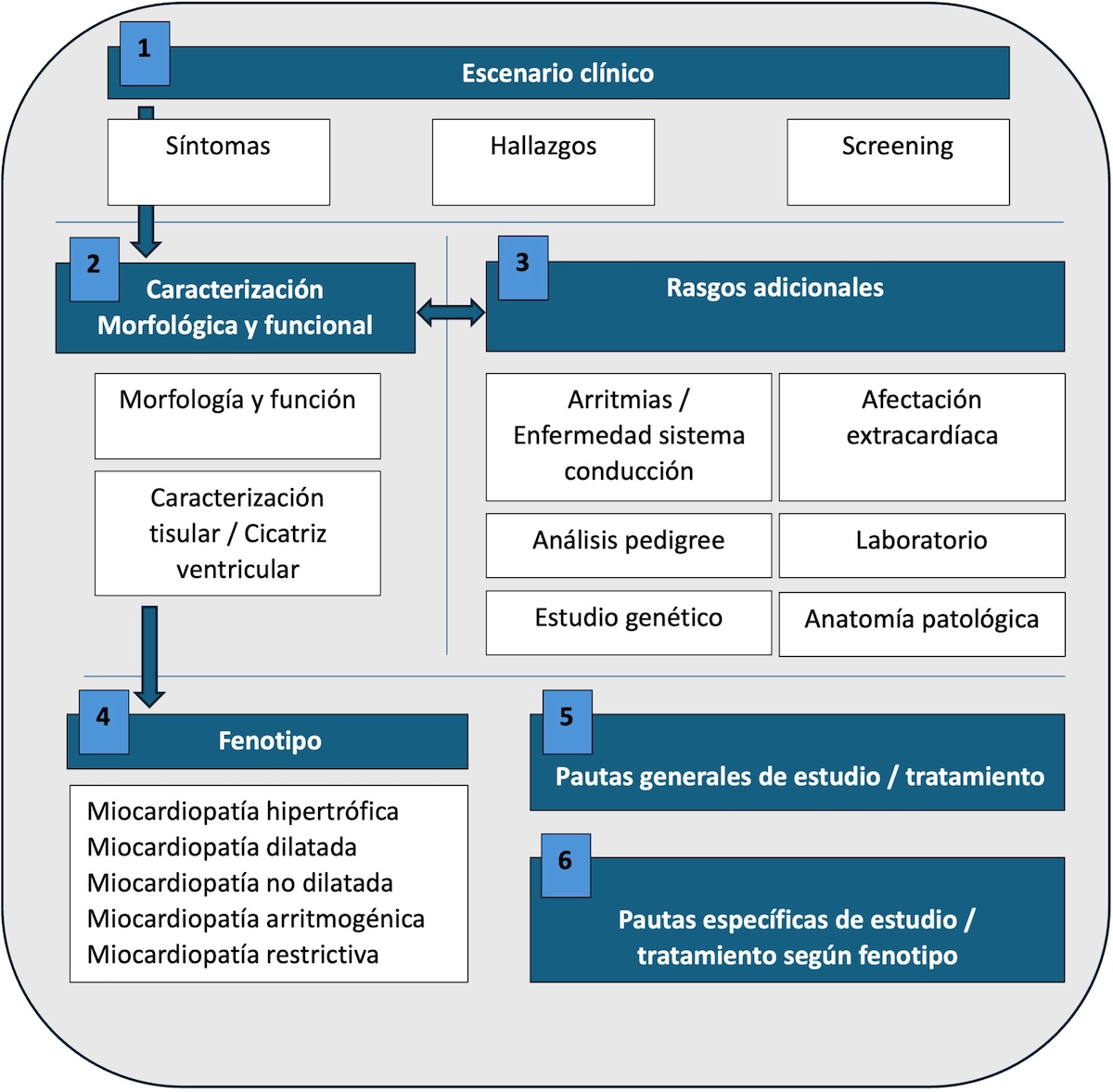 Figura 1. Modificado de Task Force for the diagnosis and treatment of acute and chronic heart failure of the European Society of Cardiology(1).