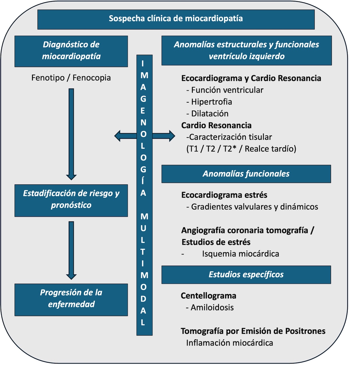 Figura 2. Modificado de Task Force for the diagnosis and treatment of acute and chronic heart failure of the European Society of Cardiology (1).