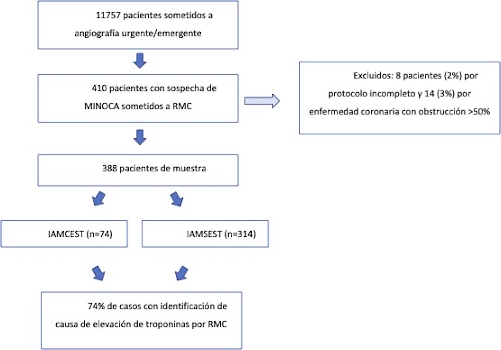 Figura 1. Diagrama de flujo del estudio.