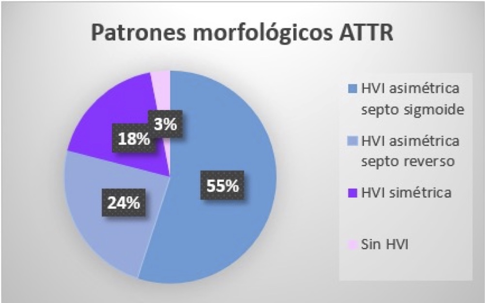 Figura 1. Patrones morfológicos en ATTR (abreviaturas como en el texto).