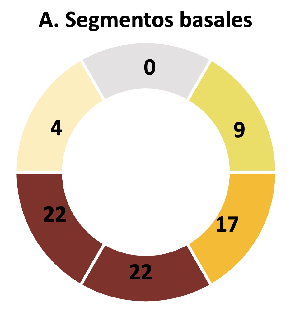 Figura 11a. Figura 11a.
