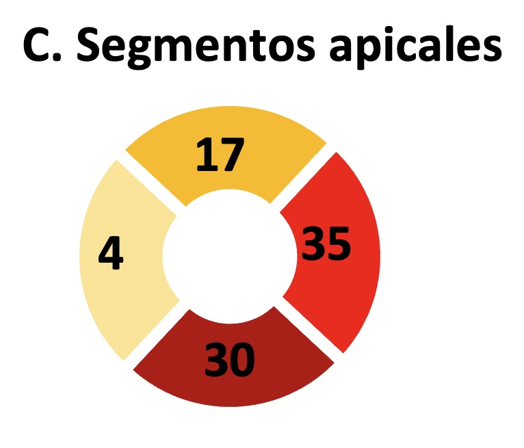 Figura 11c. Figura 11c.