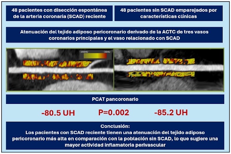 Figura 6. Resumen del estudio y principales hallazgos