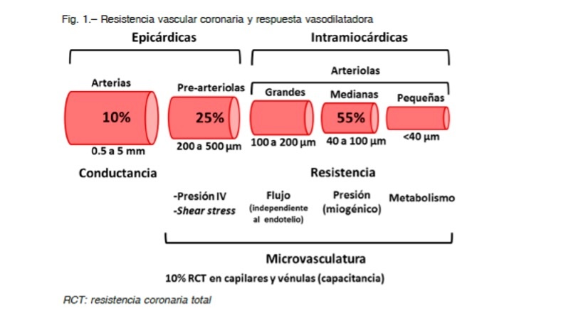 Figura 6