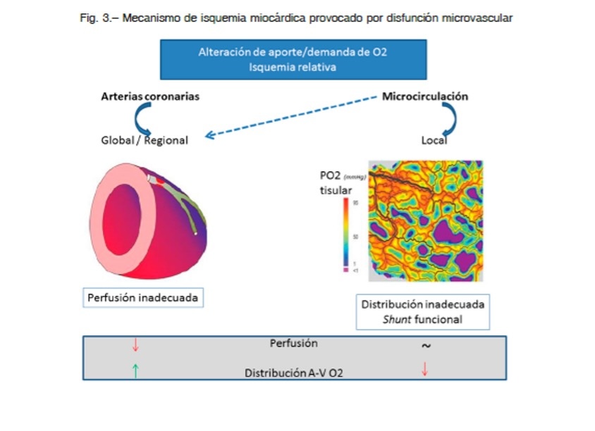 Figura 7