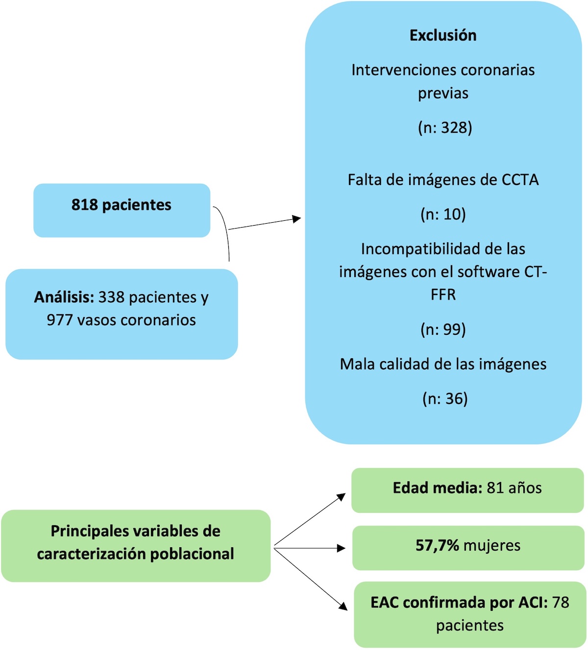 Figura 1. Información relacionada con los pacientes además de las principales variables de caracterización poblacional. De los 818 pacientes, 480 fueron excluidos por tener intervenciones coronarias previas, diferencias significativas entre los estudios imagenológicos o anatomía coronaria inusual diagnosticada durante el tiempo de estudio. Se analizaron 338 pacientes. La edad media reportada fue de 81 años y el 57,7% correspondía a mujeres. La enfermedad arterial coronaria fue confirmada en 78 pacientes por medio de angiografía coronaria invasiva. 