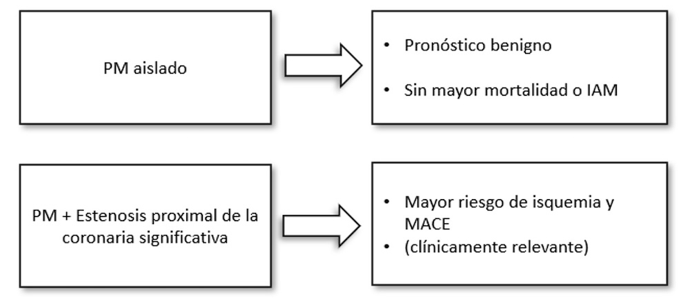 Figura 2. Pronóstico de los PM, en base a si son hallazgos aislados, o concomitantes con aterosclerosis coronaria.