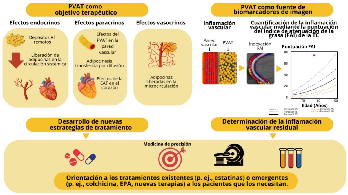 Anexo 9. Tejido adiposo perivasclar (PVAT) como fuente de biomarcadores de imagen y diana terapéutica. FAI. Perivascular adipose tissue as a source of therapeutic targets and clinical biomarkers. European Heart Journal (2023) 44, 3827–3844