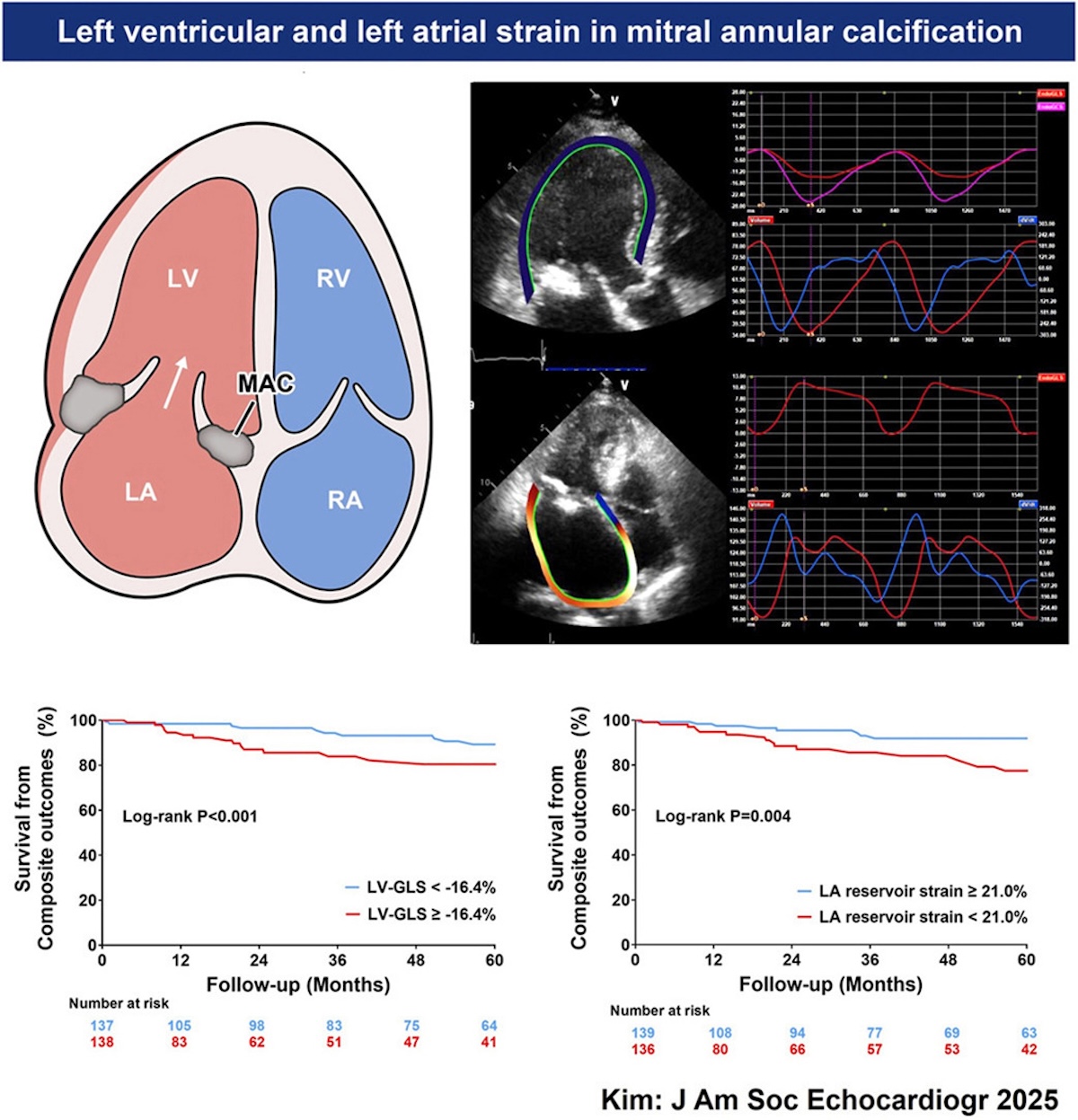 Función ventricular y auricular izquierda en pacientes con calcificación aislada del anillo mitral