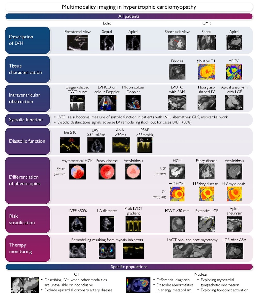  Papel de la imagen cardíaca multimodal en el manejo de pacientes con miocardiopatía hipertrófica en 2025. Declaración de consenso clínico de la EACVI