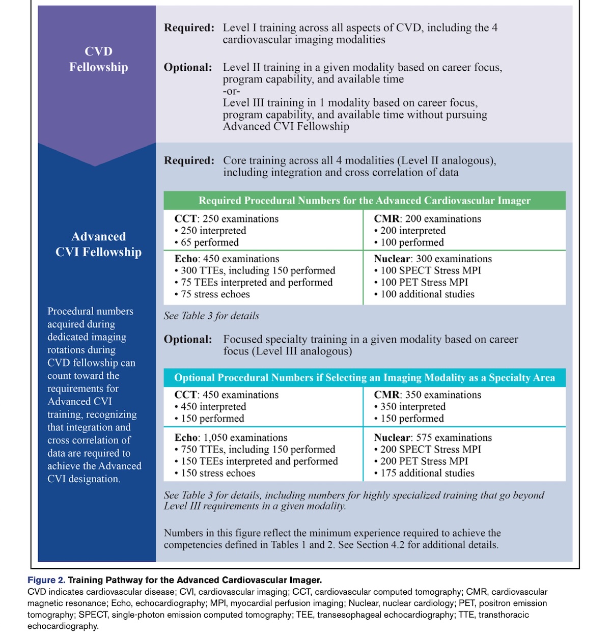 Documento sobre la formación avanzada en imagen cardiovascular elaborado por el Comité de Gestión de Competencias del Colegio Americano de Cardiología (ACC)