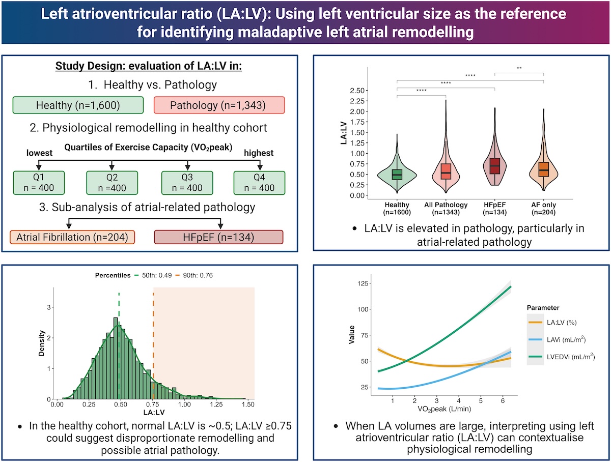 Relación auriculoventricular izquierda (AI:VI): utilización del tamaño del ventrículo izquierdo como referencia para identificar el remodelado de la aurícula izquierda
