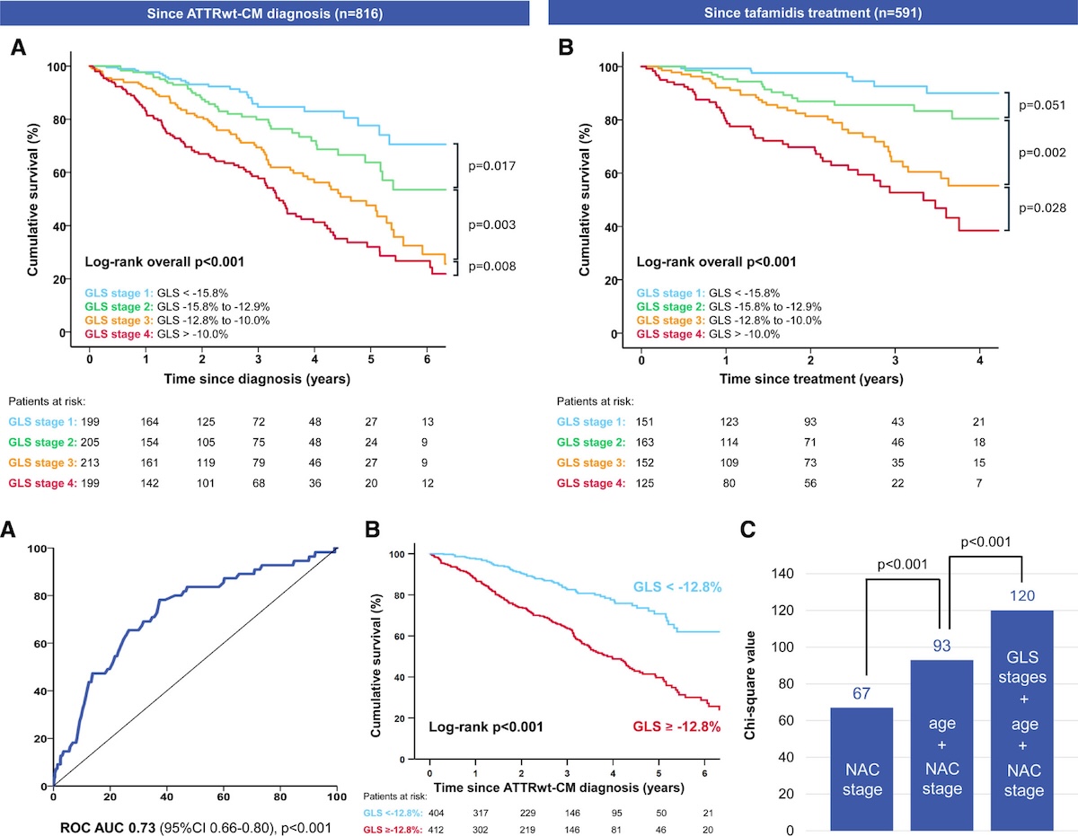 Strain longitudinal global para la estratificación pronóstica en la amiloidosis cardiaca por transtirretina salvaje