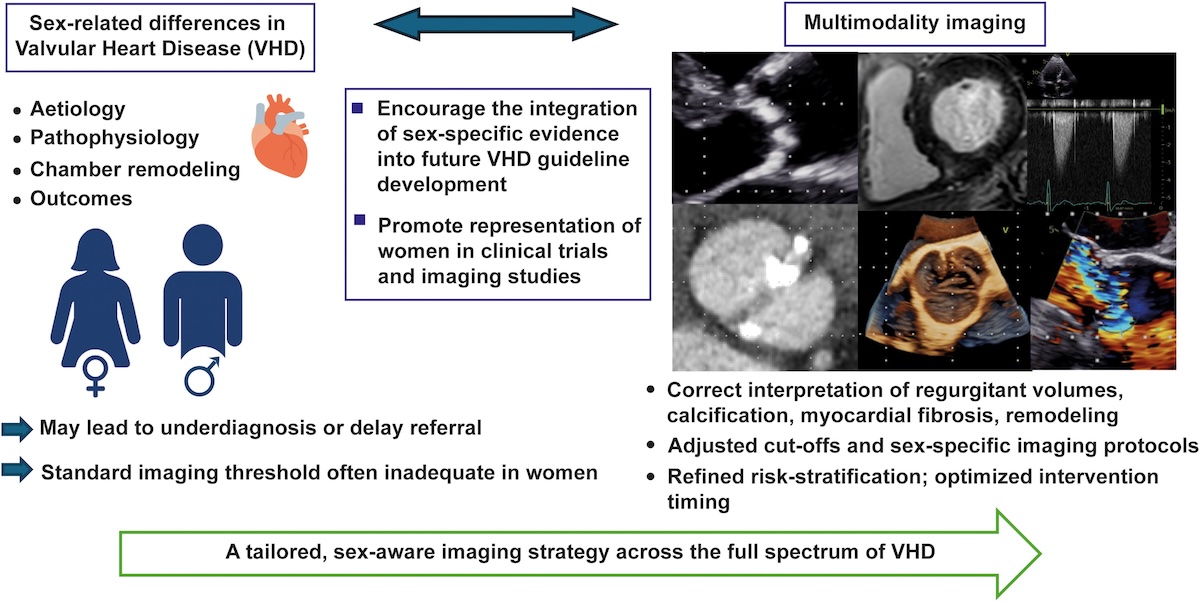 La importancia de las diferencias de sexo en la enfermedad cardíaca valvular desde el punto de vista de la imagen