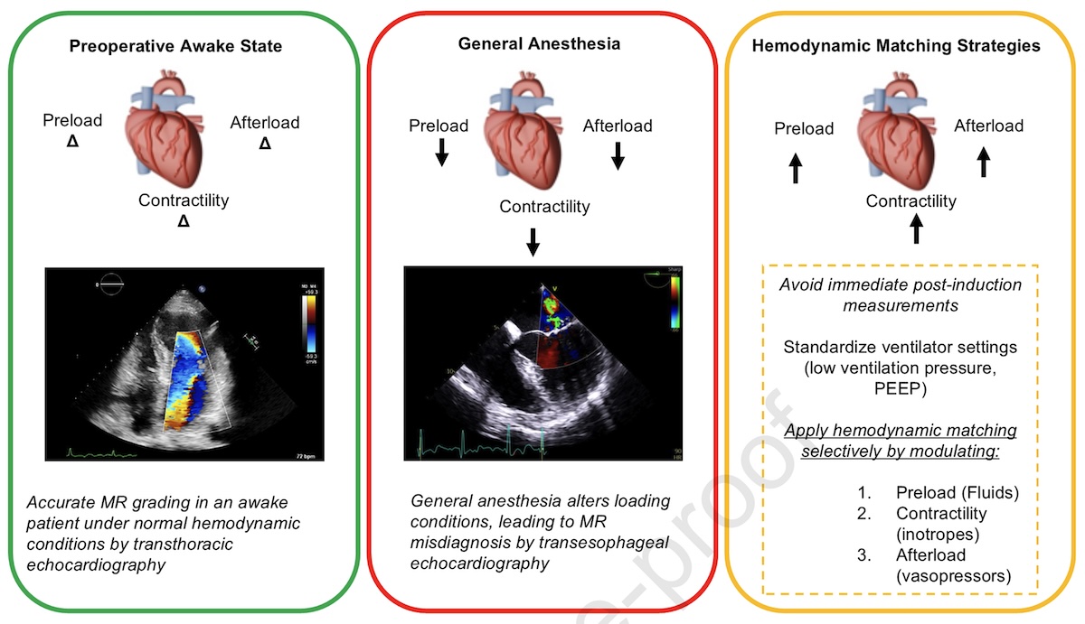 El efecto de la anestesia general y la ventilación mecánica en la evaluación ecocardiográfica de la función cardíaca
