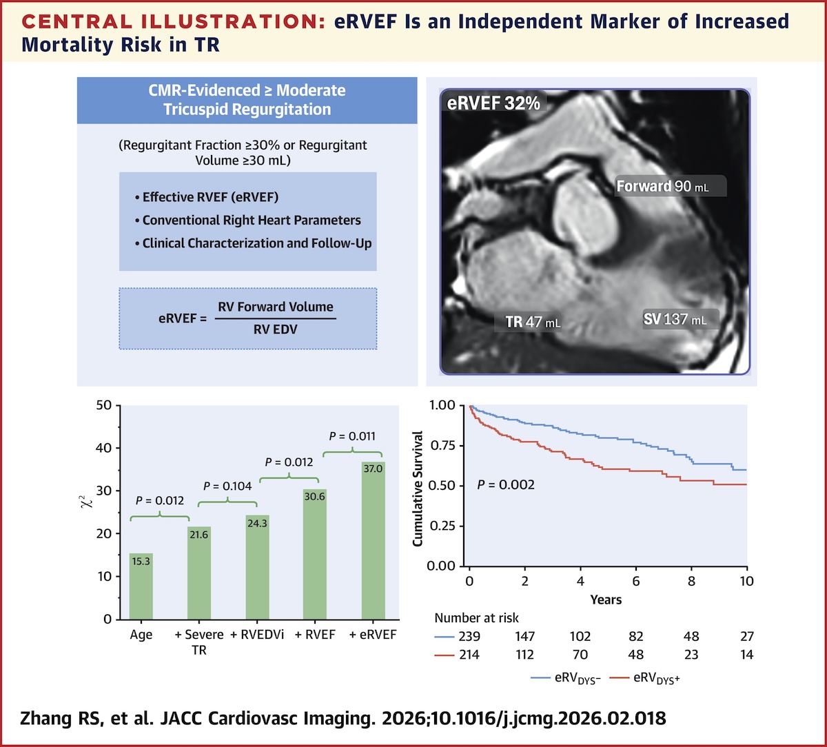 Redefiniendo la función del ventrículo derecho en la insuficiencia tricuspídea: valor pronóstico añadido de la RVEF efectiva por resonancia magnética