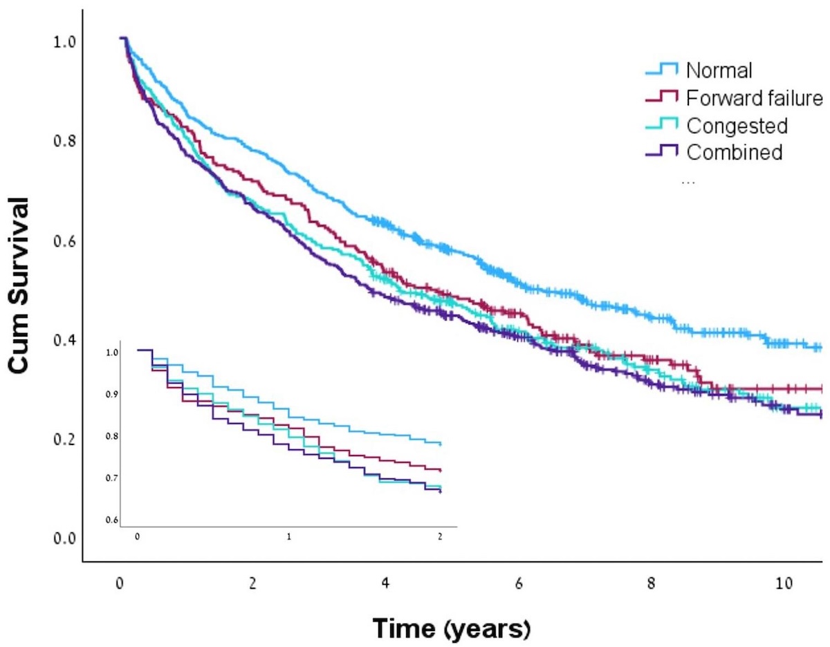 Fenotipos hemodinámicos y evolución clínica en pacientes con insuficiencia tricuspídea severa