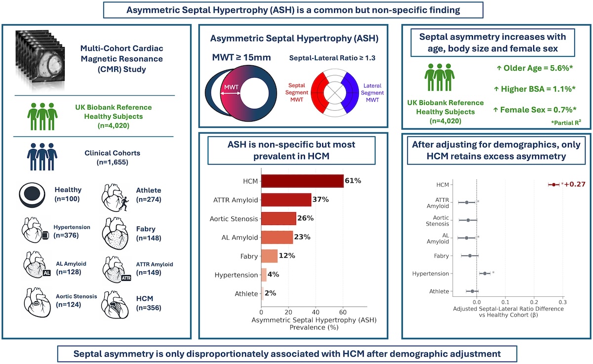 Prevalencia y determinantes de la hipertrofia septal asimétrica en enfermedades asociadas con hipertrofia ventricular izquierda