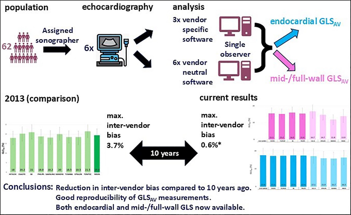 Diferencias entre compañías en cálculo de strain global longitudinal mediante el uso speckle tracking 2D: Resultados de un esfuerzo de estandarización de 10 años